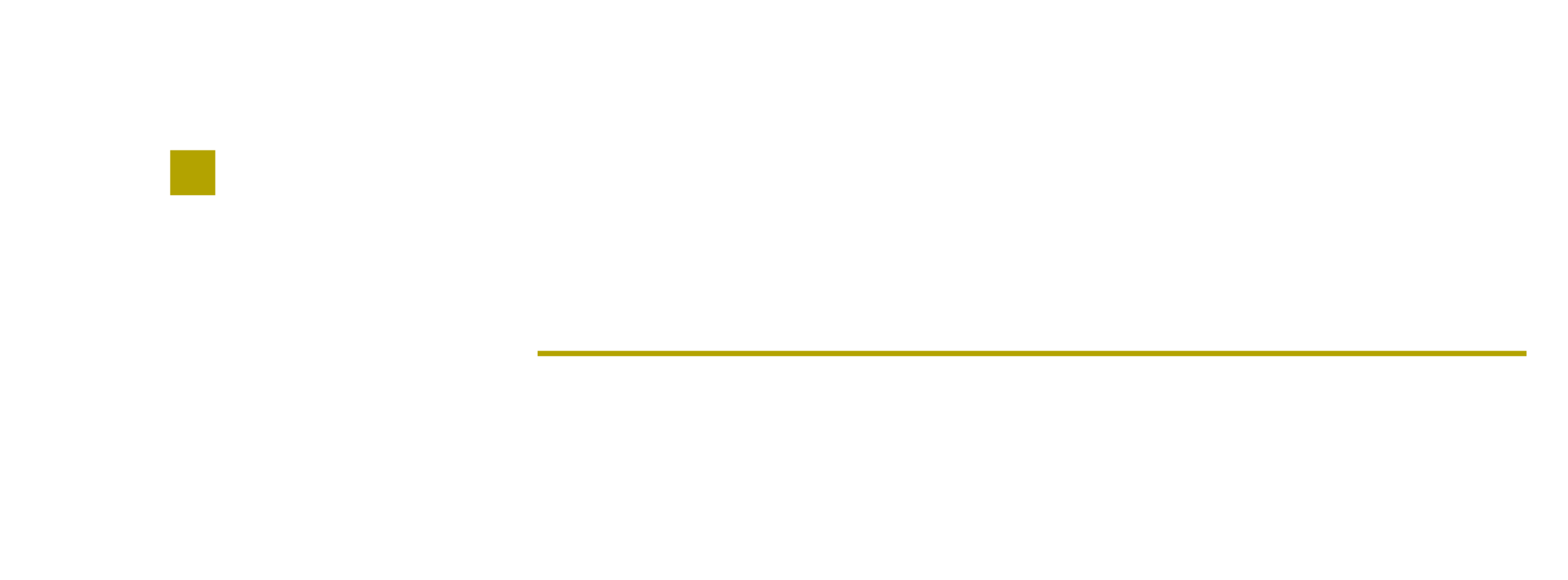 Absolute Insurance Agency Logo
