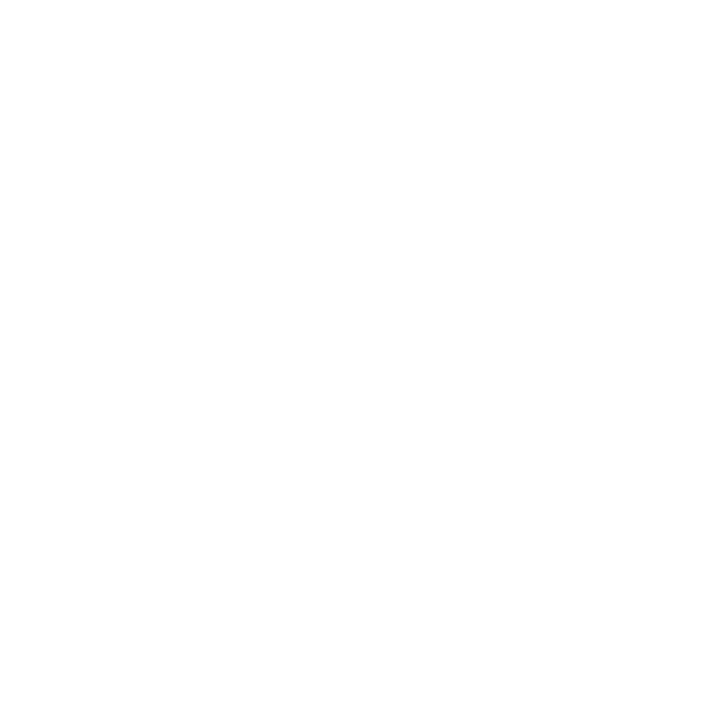 Boat Icon