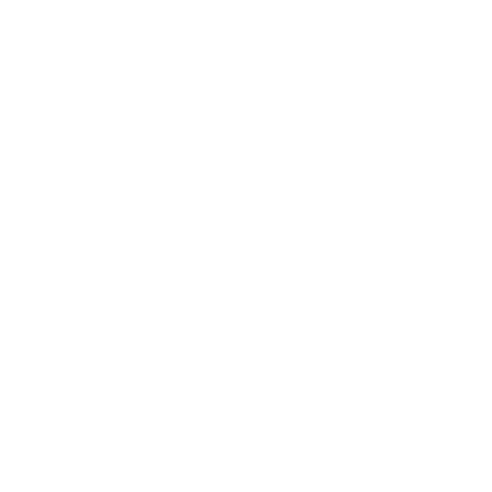 Auto Insurance Icon