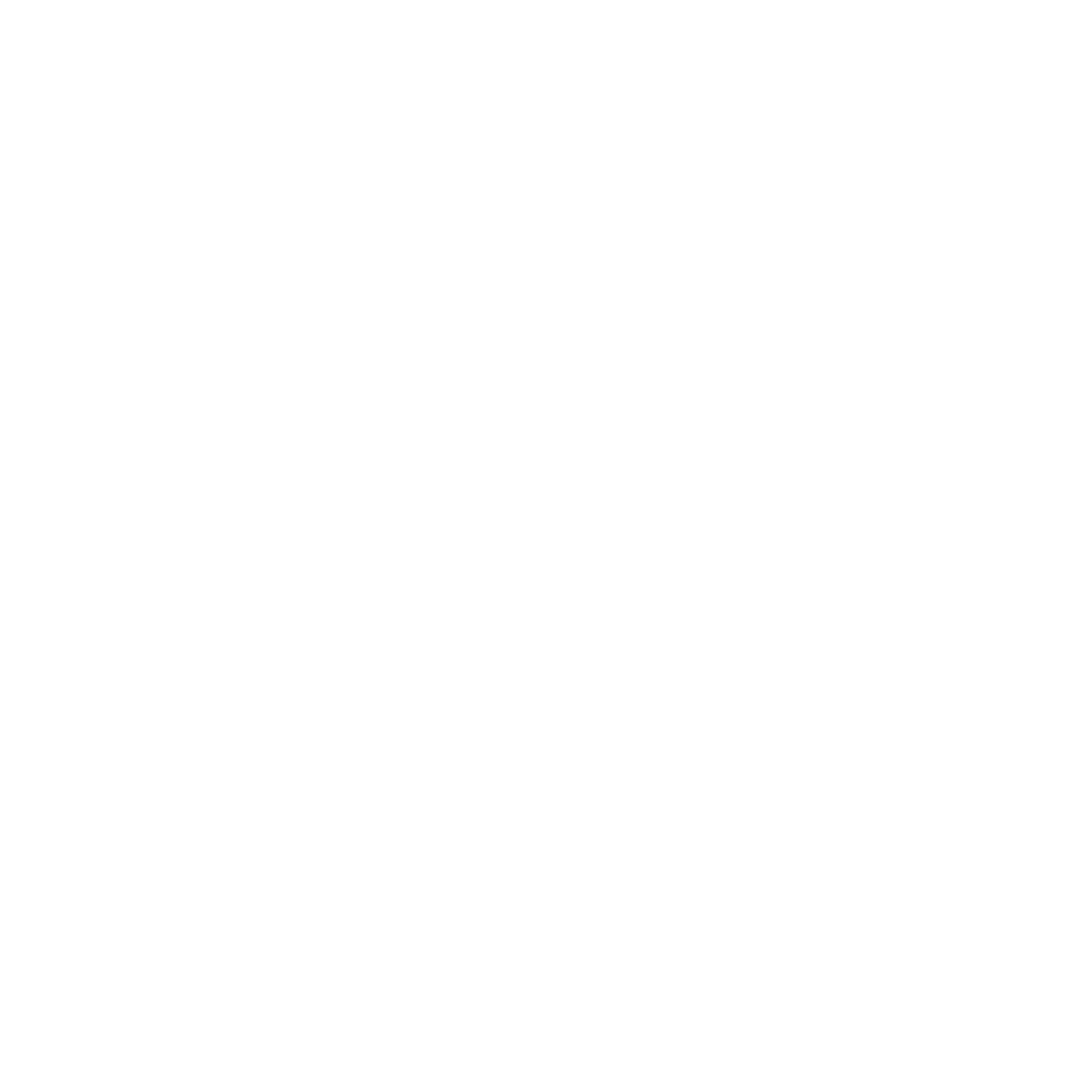 Flood Insurance Icon