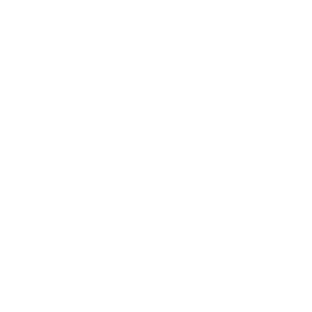 Flood Icon
