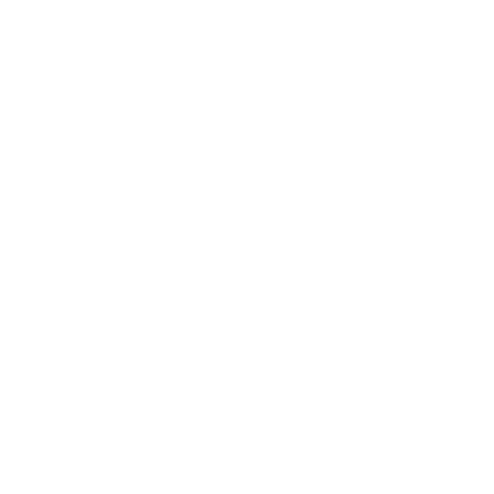 Health Insurance Icon