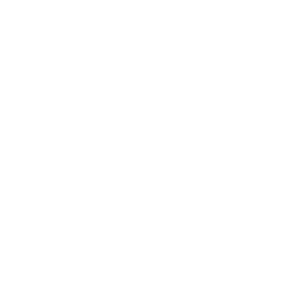 Homeowners Insurance Icon