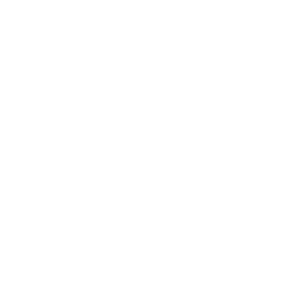 Landlord Protection Icon