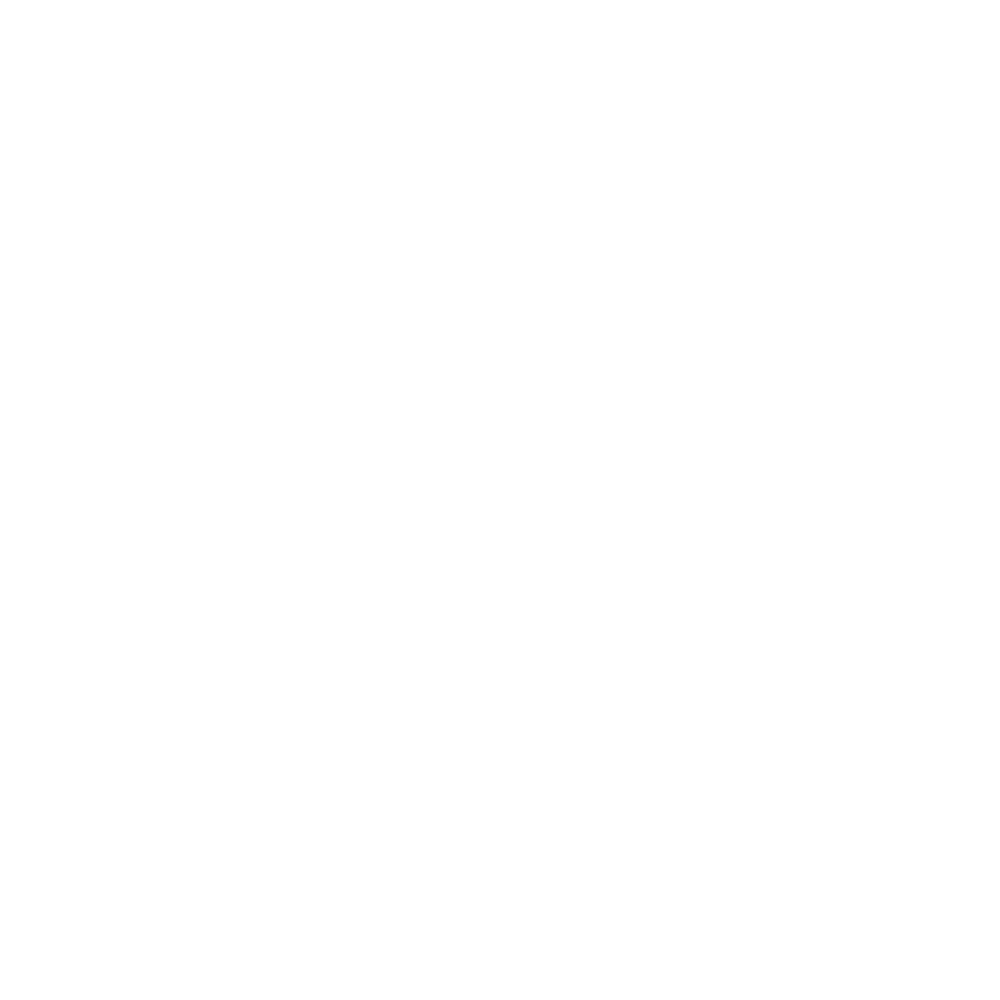 Life Insurance Icon