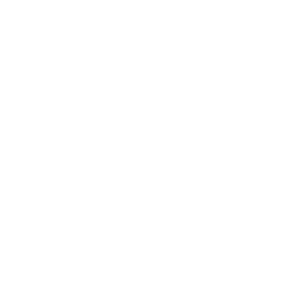 Medicare Supplement Icon
