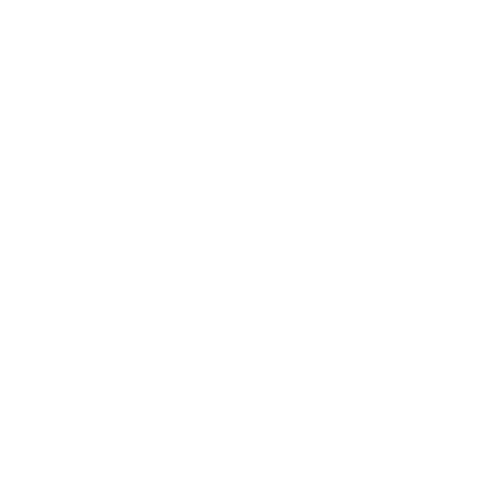 Term Life Insurance Icon