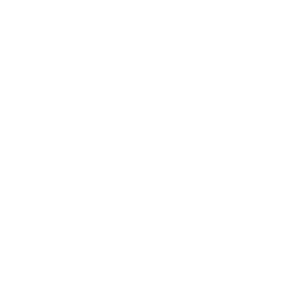 Whole Life Icon