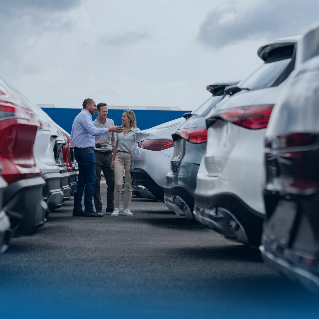 Auto Dealers
