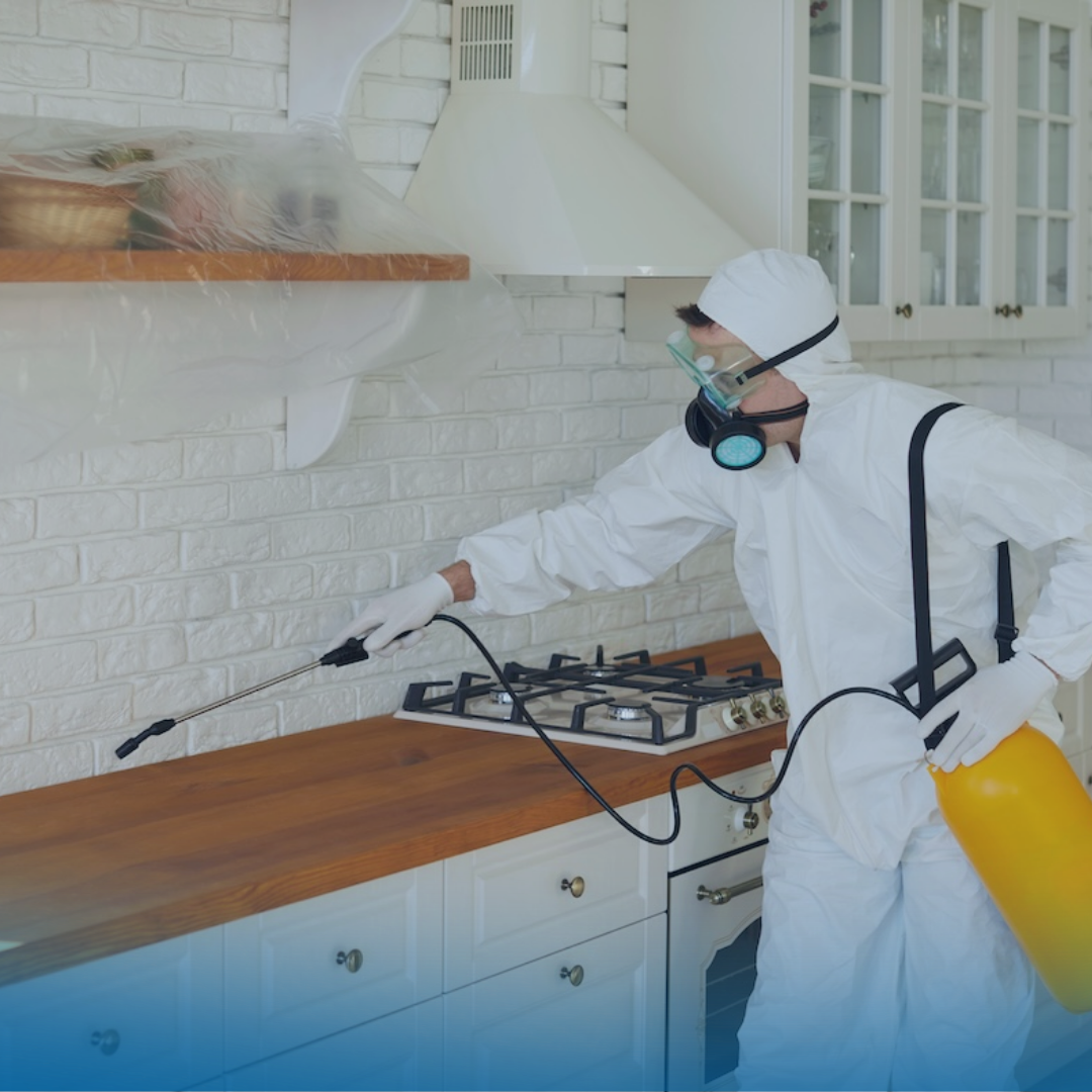 Pest Control